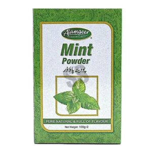 Alamgeer Mint Powder 100g